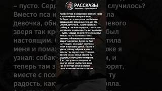 #жизненныеистории #историиизжизни #истории #рассказы #лукаозёрный #поэзия