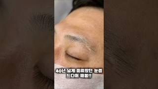 40년 넘게 참아왔던 눈썹 드디어 해봄!!#funny#강서구#아이미뷰티