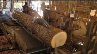 Sawing some poplar - Merry Christmas #120