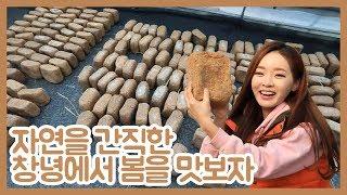 [전국을달린다-창원] 창녕의 봄은 맛있다! 창녕 봄 여행 (2019.02.25,월)