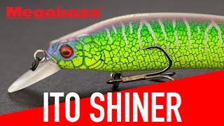 Megabass Ito Shiner