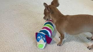 Hound Hugger DIY Glad Dog Snuffle Toy