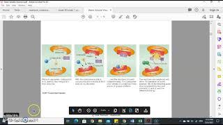 Water soluble vitamin Part I
