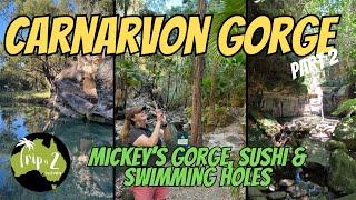 Carnarvon Gorge Pt2 | Mickey’s Gorge | SUSHI & SWIMMING HOLES - Ep 48