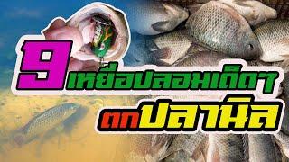 9 เหยื่อปลอมเด็ดๆ | ตกปลานิล |