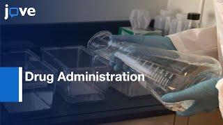 Drug Administration to Zebrafish and Withdrawal Quantification | Protocol Preview