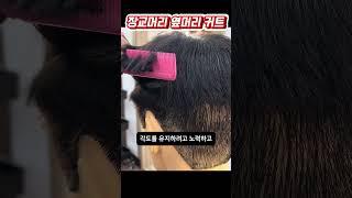 장교머리 옆머리 커트 진행방법 #남자커트학원 #인천부평이용미용학원