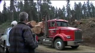 Clear Cut: The Story of Philomath Oregon (Trailer)