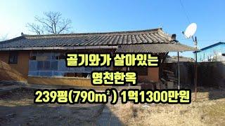 @경북땅지기 #영천부동산#영천토지#영천촌집#골기와가 살아있는 영천한옥집