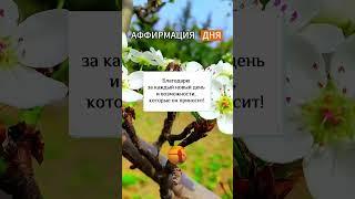 Аффирмация дня   #Скажи_мечте_ДА #СкажимечтеДА #мечта