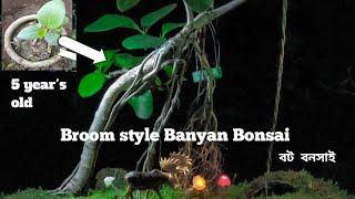 How to make a Ficus Banglensis,Banyan bonsai,কাঁঠালি বটের বনসাই। kathali bot.