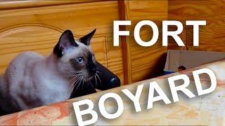 FORT BOYARD - PAROLE DE CHAT