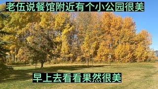 老伍说餐馆附近有个小公园很美，早上带我去看看果然不错。