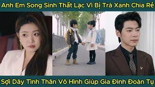 Anh Em Song Sinh Thất Lạc Vì Bị Trà Xanh Chia Rẻ, Sợi Dây Tình Thân Vô Hình Giúp Gia Đình Đoàn Tụ