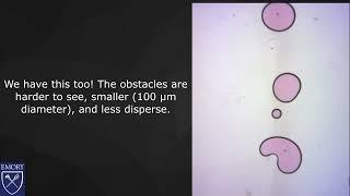 Protean Droplets in Porous Media