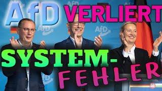 Wie bitte PLÖTZLICH VERLIERT die AfD durch eine Systemfehler