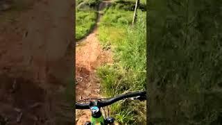 MtB Wylde Roly Poly Coaster #Shorts