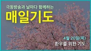 [매일기도] 4월 20일. 환우를 위한 기도