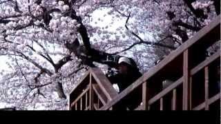 A Feast of Spring in Hadong_봄의 향연을 만나러 하동으로 간다.