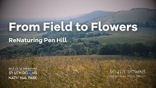 From Field to Flowers: ReNaturing Pen Hill