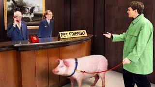 I Tested 'PET FRIENDLY' Hotels With Farm Animals