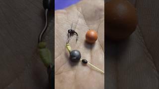 Easy Ways to Put Bait on Carp Fishing #shorts #fishing #tutorial