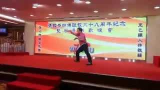 Dragon style kung fu-Tai Po Da-Michael Chan(70yo)-Lung ying mor kiu