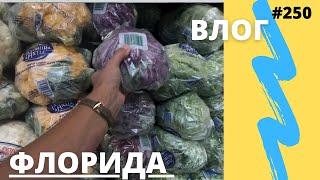 #250 США-Покупаем красные абрикосы- Фиолетовая капуста и наш любимый магазин Sprouts