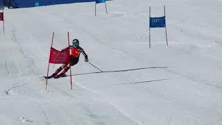 WORLD CUP SKI RACERS SLALOM TRAINING 9