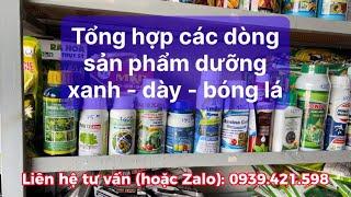 Tổng hợp - hướng dẫn chi tiết các sản phẩm dưỡng xanh, dày, bóng lá #xanh #dưỡng #baogia #vietnong