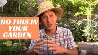 Do This In Your Garden to Grow the Best Organic Garden Ever