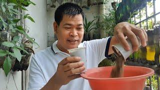 PAANO GUMAWA NG MATABANG LUPA:EFFECTIVE NA GARDEN SOIL (with ENG subs)