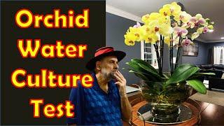 I Tested Water Culture for Orchids