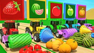 Pop songs - Old MacDonald + Bingo + Baby Shark - Color Tractors - Baby Nursery Rhymes & Kids Songs