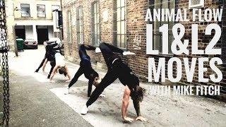 MIKE FITCH - ANIMAL FLOW - LONDON - Level 1 & 2  Moves