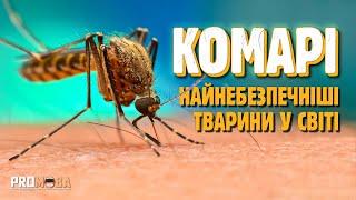 ЧОМУ КОМАРІ КУСАЮТЬ ОДНИХ ЛЮДЕЙ БІЛЬШЕ НІЖ ІНШИХ?  [VERITASIUM]