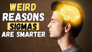 6 Weird Traits That Prove Sigma Males Are Smarter Than You Realize