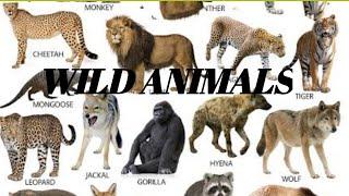 Wild animals names #wild animals names #Telugu wild animals names animals names