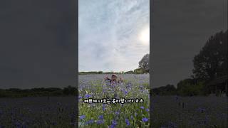 간만에 가족과 나들이/육아브이로그/나들이/아이와함께‍‍‍