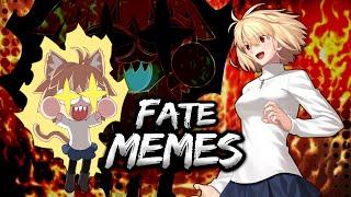 Fate Memes Perfect for Funny Vamp FEAT Type Moon