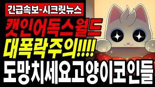 [캣인어독스월드] $MEW코인 *필수시청* 폭락주의 홀더분들!! 여기서 반등?! 제 2의 베이비도지코인 캣인어독스월드코인