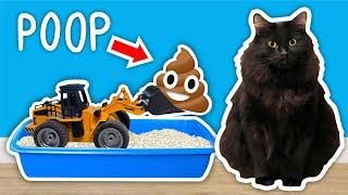 I Built A CAT POOP Cleaning Contraption!