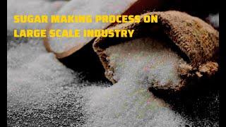 How is sugar made in India | Making sugar out of sugarcane