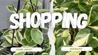 2 Home Depot Locations & Heemans Houseplant Shopping| Houseplants & Hoya are finally here!