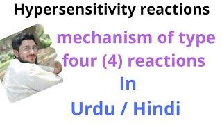 type four hypersensitivity reactions (hypersensitivity reactions) delayed hypersensitivity reactions