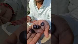 Ye Kya Hai  #minivlog #bihar #shorts #youtubeshorts #village #chocolate #desi #khana #short #vlog