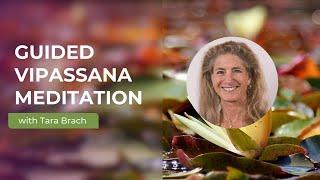 Guided Vipassana (Insight or Mindfulness) Meditation with Tara Brach