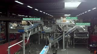 Peel and polish zone of a processing line for brassica and rootcrop