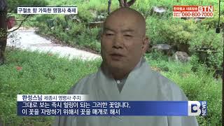 [BTN뉴스] 세종 영평사 내일 제19회 구절초 꽃 축제 개막