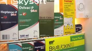 MSD Sheep Vaccines TOP TIPS